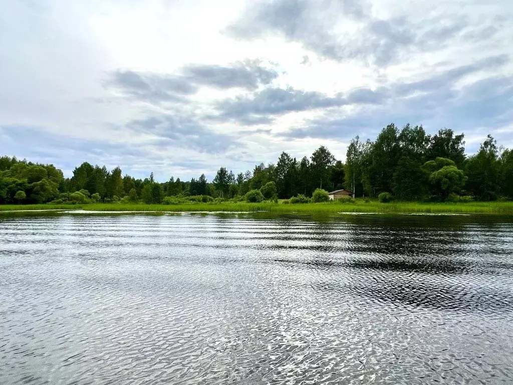 Участок в Тверская область, Конаковский муниципальный округ, д. Бабня ... - Фото 2