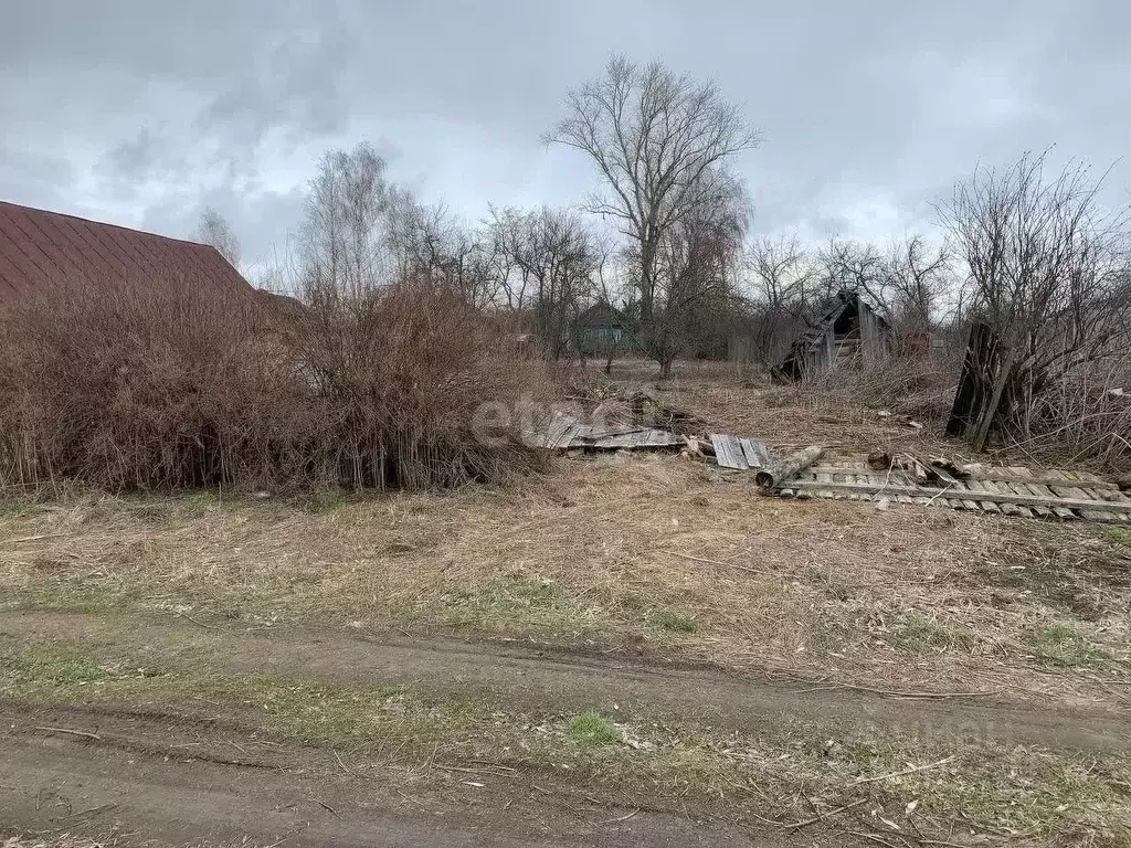 Участок в Владимирская область, Меленковский муниципальный округ, с. ... - Фото 1