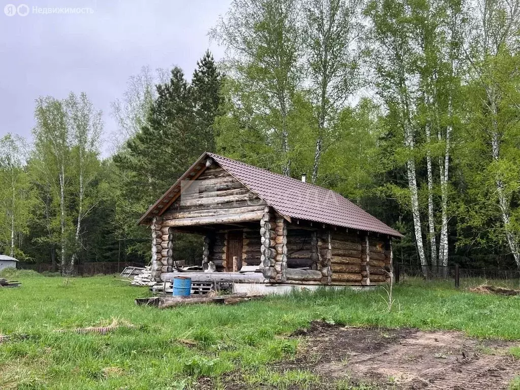 Участок в Колыванский район, садовое товарищество Озёрное, Лесная ... - Фото 1
