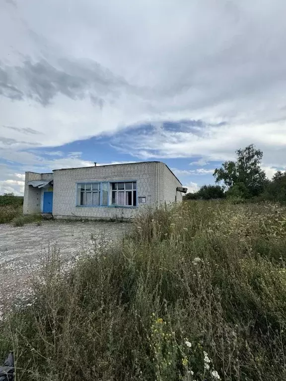 Помещение свободного назначения в Пензенская область, Городищенский ... - Фото 1