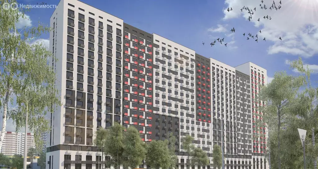 Квартира-студия: Оренбург, улица Автомобилистов, 13 (24 м) - Фото 2