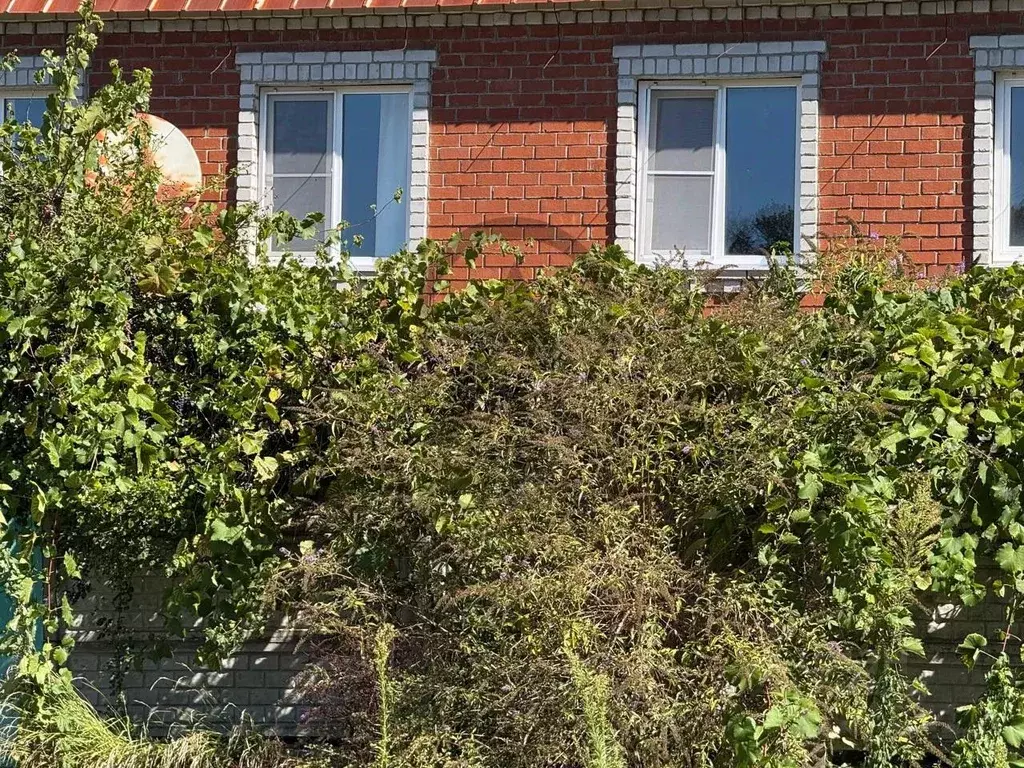 Дом в Краснодарский край, Туапсинский муниципальный округ, Джубга пгт, ... - Фото 1