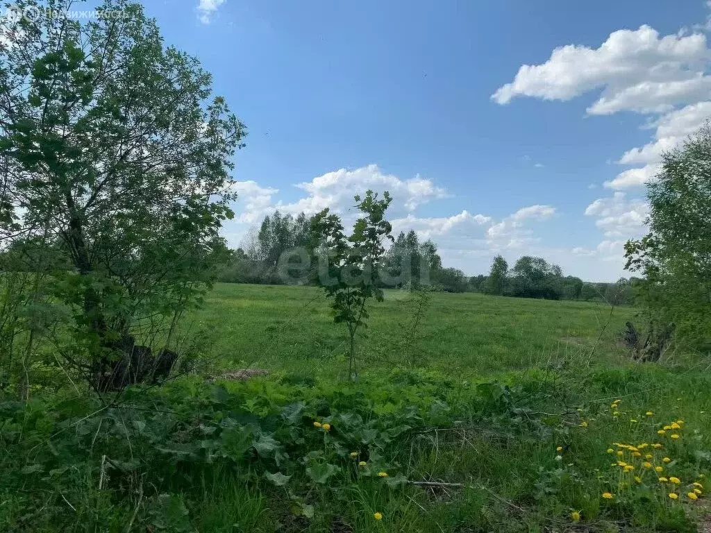 Участок в Ярославская область, Борисоглебский муниципальный округ, ... - Фото 0