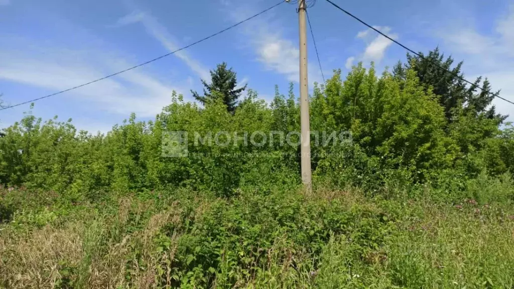 Участок в Амурская область, Белогорск ул. Леваневского, 26 (12.0 сот.) - Фото 2