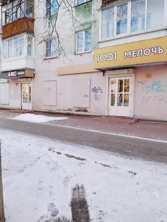 Помещение свободного назначения в Нижегородская область, Дзержинск ул. ... - Фото 0