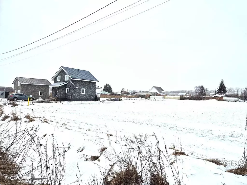 Участок в Омская область, Омский район, с. Пушкино ул. Ленина (8.8 ... - Фото 2