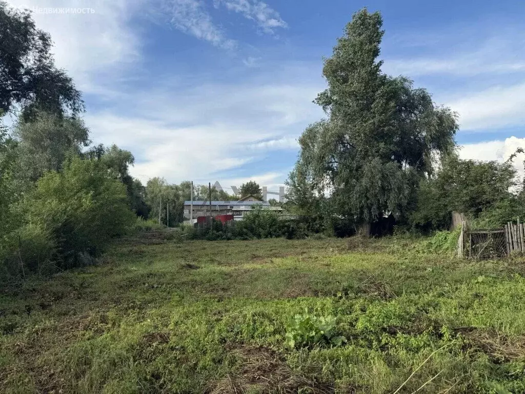 Участок в Елабуга, улица Маяковского (10 м) - Фото 2