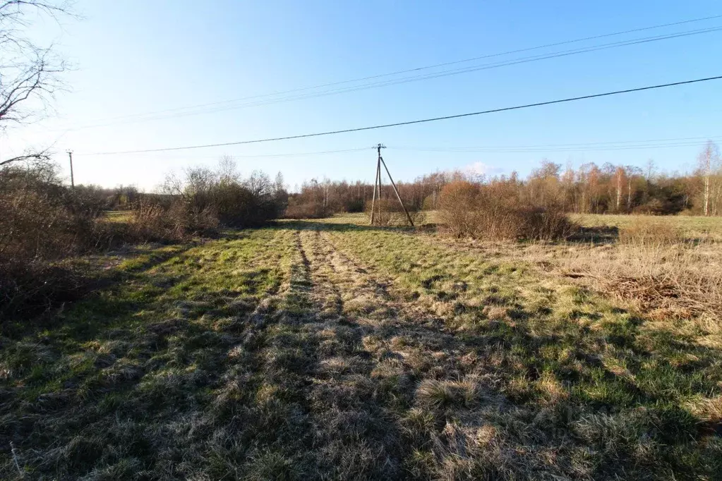 Участок в Ленинградская область, Выборгский район, Каменногорское ... - Фото 2