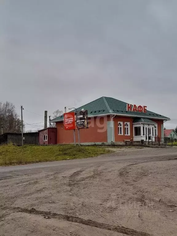Помещение свободного назначения в Псковская область, Палкинский район, ... - Фото 1