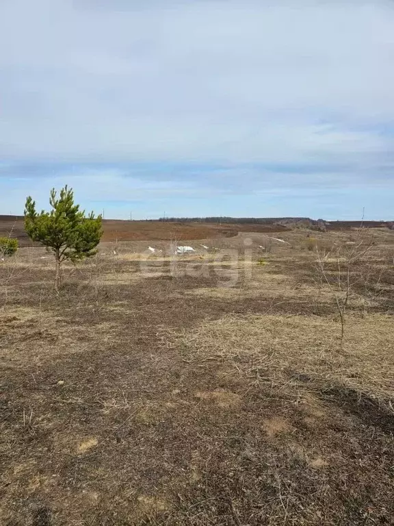 Участок в Татарстан, с. Пестрецы ул. Окольная, 37 (12.0 сот.) - Фото 1