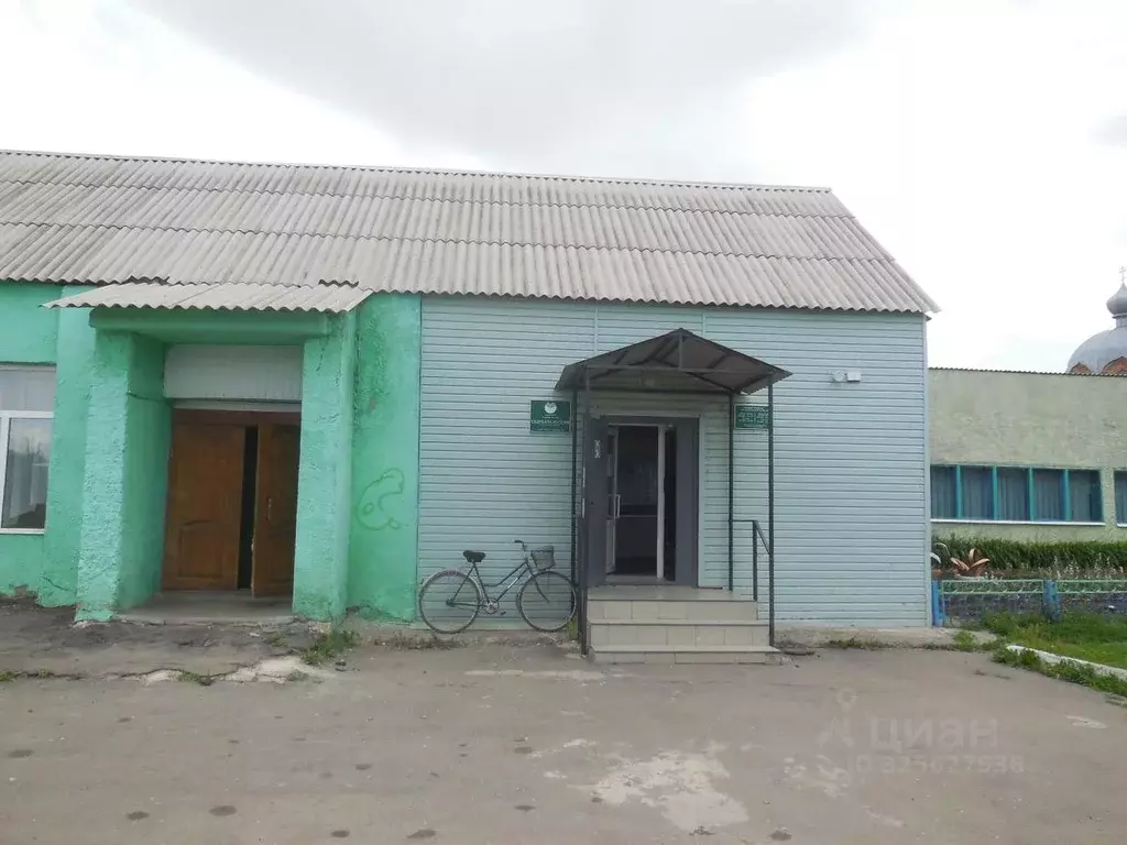 Помещение свободного назначения в Воронежская область, Лискинский ... - Фото 1