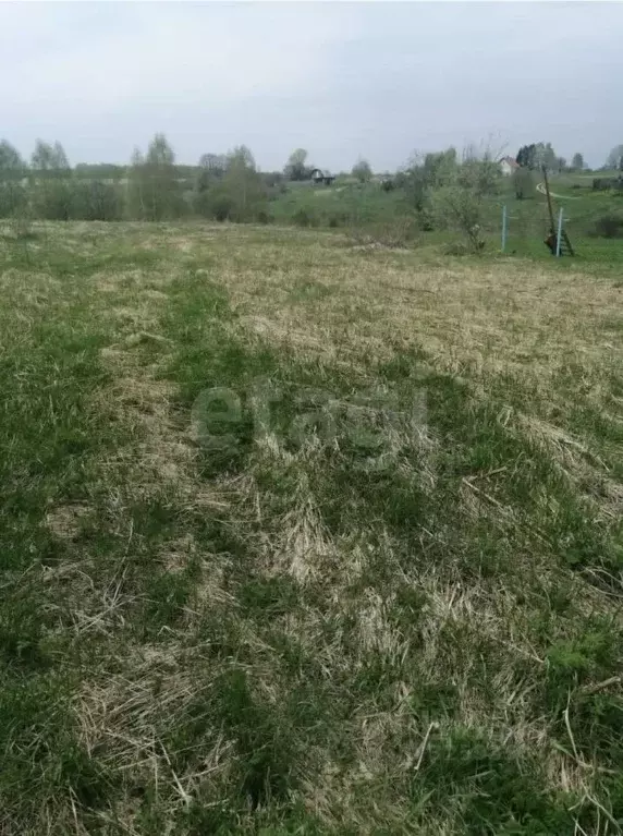 Участок в Калужская область, Козельский муниципальный округ, Деревня ... - Фото 1