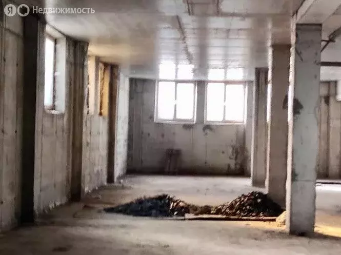 Помещение свободного назначения (343 м) - Фото 2