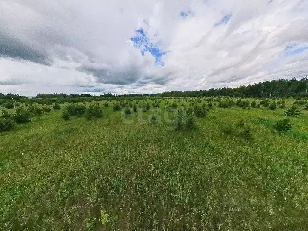 Участок в Тюменская область, Тюменский муниципальный округ, д. Елань  ... - Фото 1