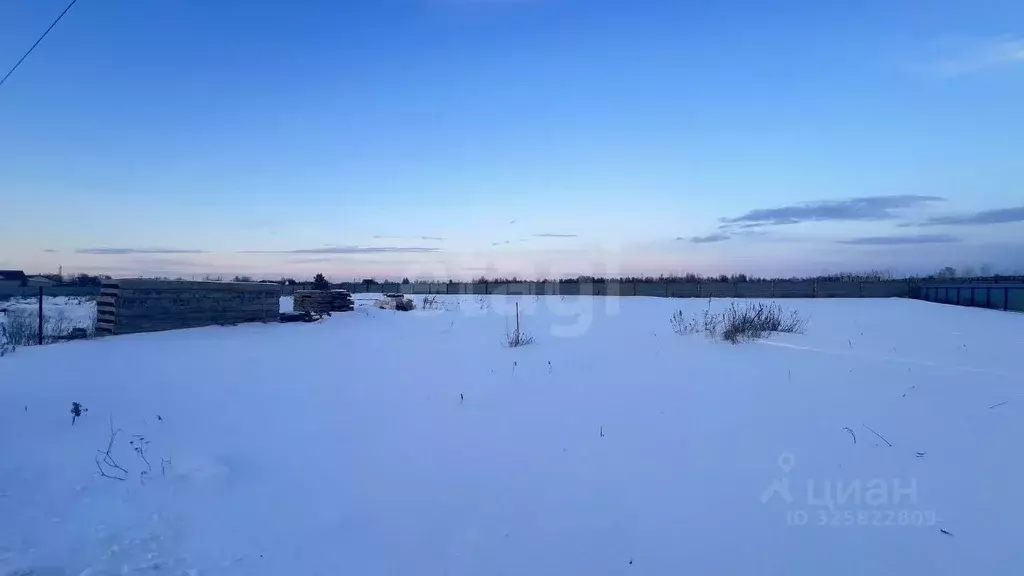 Участок в Курганская область, Кетовский муниципальный округ, д. ... - Фото 2