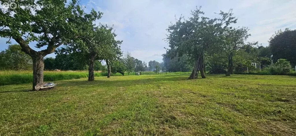 Участок в Псковская область, городское поселение Гдов, деревня ... - Фото 1