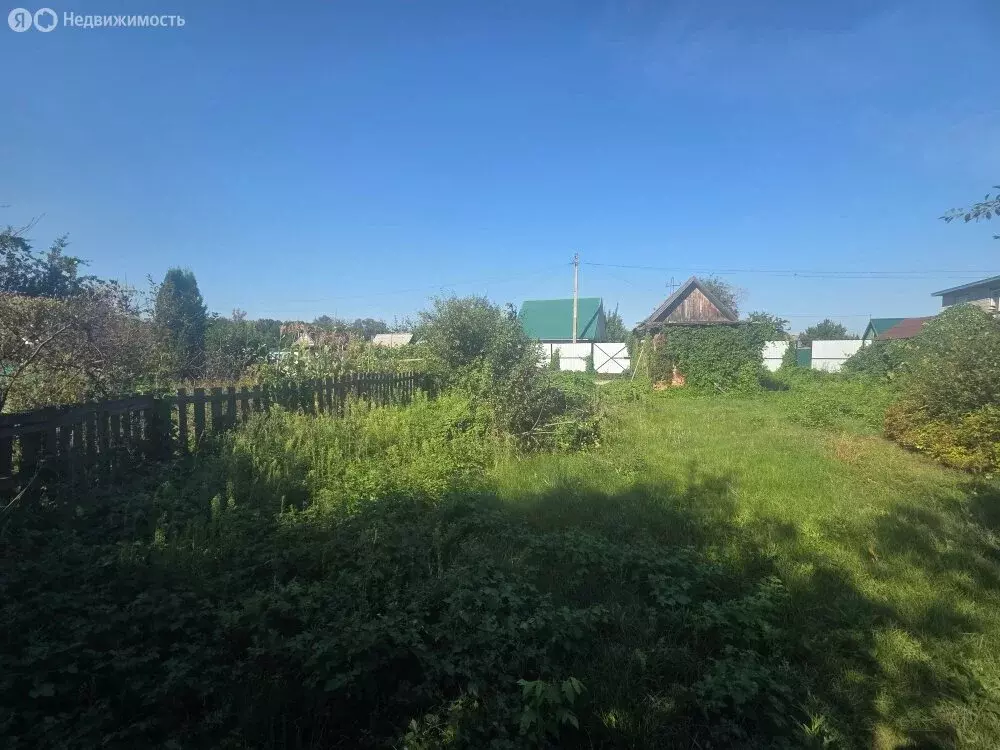 Участок в Балаковский район, Быково-Отрогское муниципальное ... - Фото 0