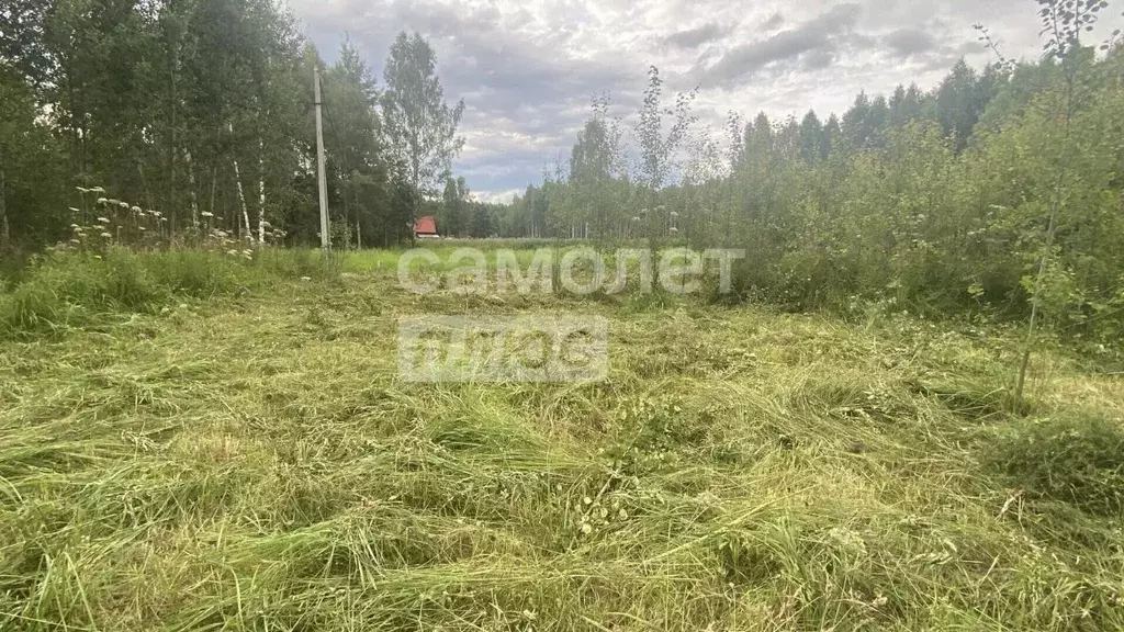 Участок в Московская область, Талдомский городской округ, д. ... - Фото 1