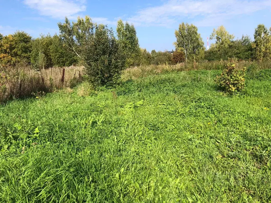 Участок в Кемеровская область, Кемеровский район, с. Андреевка ул. ... - Фото 0