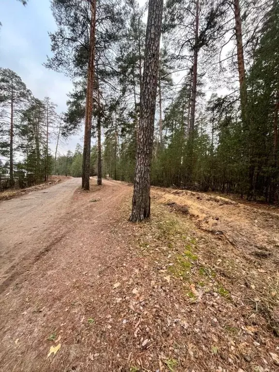 Участок в Нижегородская область, Володарский муниципальный округ, ... - Фото 2