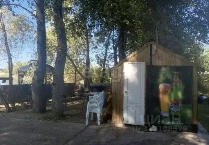 Участок в Оренбургская область, Илекский район, пос. Димитровский, ... - Фото 2