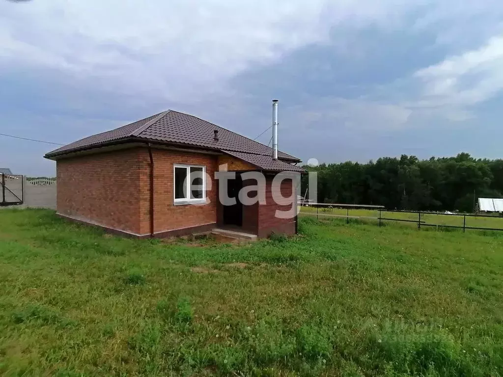 Дом в Красноярский край, Емельяновский район, Элитовский сельсовет, ... - Фото 0