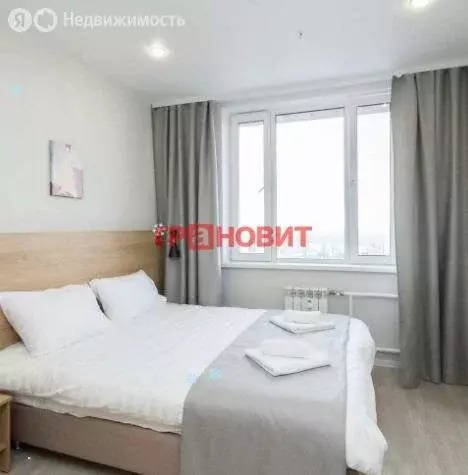 Квартира-студия: Новосибирск, улица Кирова, 113/2 (22.5 м) - Фото 1