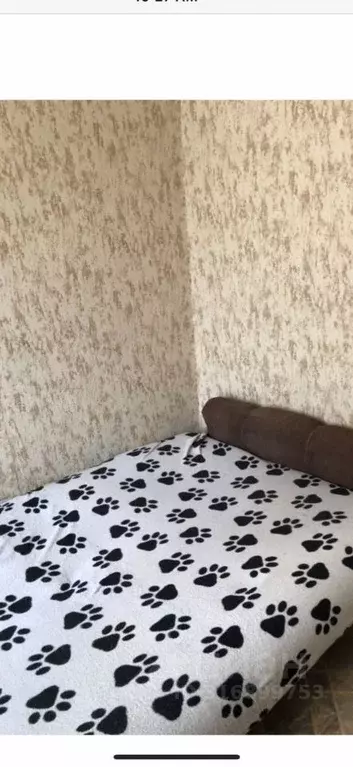 1-к кв. Самарская область, Самара ул. Свободы, 20А (16.0 м) - Фото 2