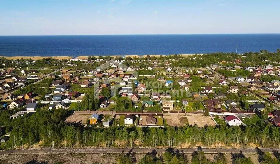 Участок в Ленинградская область, Всеволожский район, Рахьинское ... - Фото 1