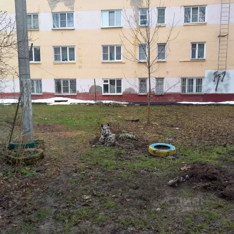 Комната Нижегородская область, Нижний Новгород просп. Ильича, 18 (15.3 ... - Фото 0