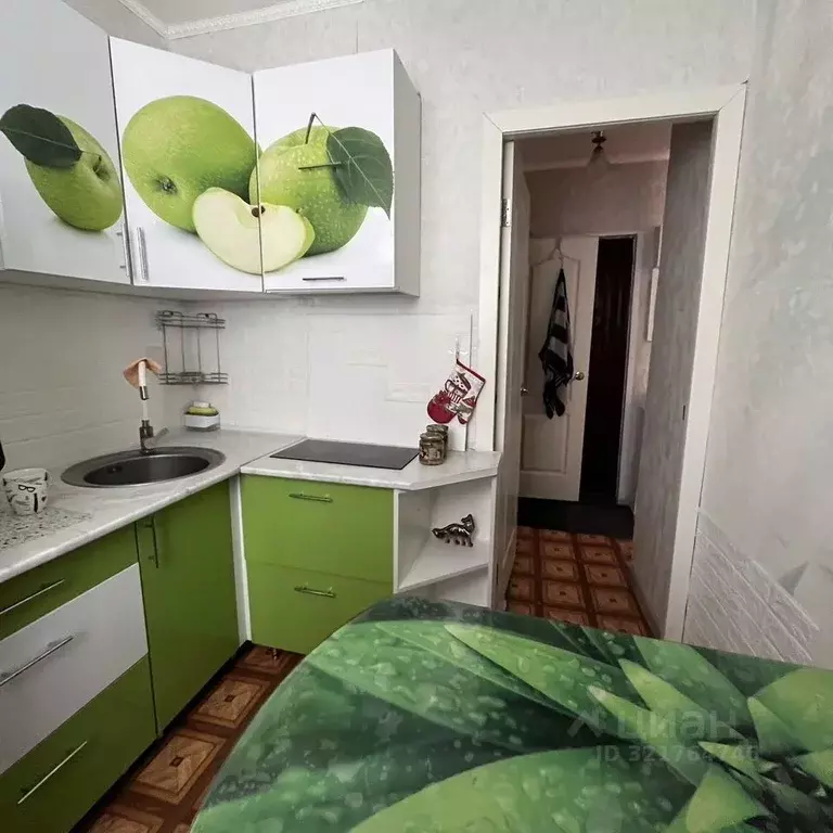 1-к кв. Новосибирская область, Искитим Советская ул., 221а (21.0 м) - Фото 0