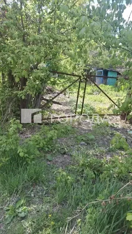 Участок в Алтайский край, Барнаул Гоньбинка кв-л,  (8.2 сот.) - Фото 1