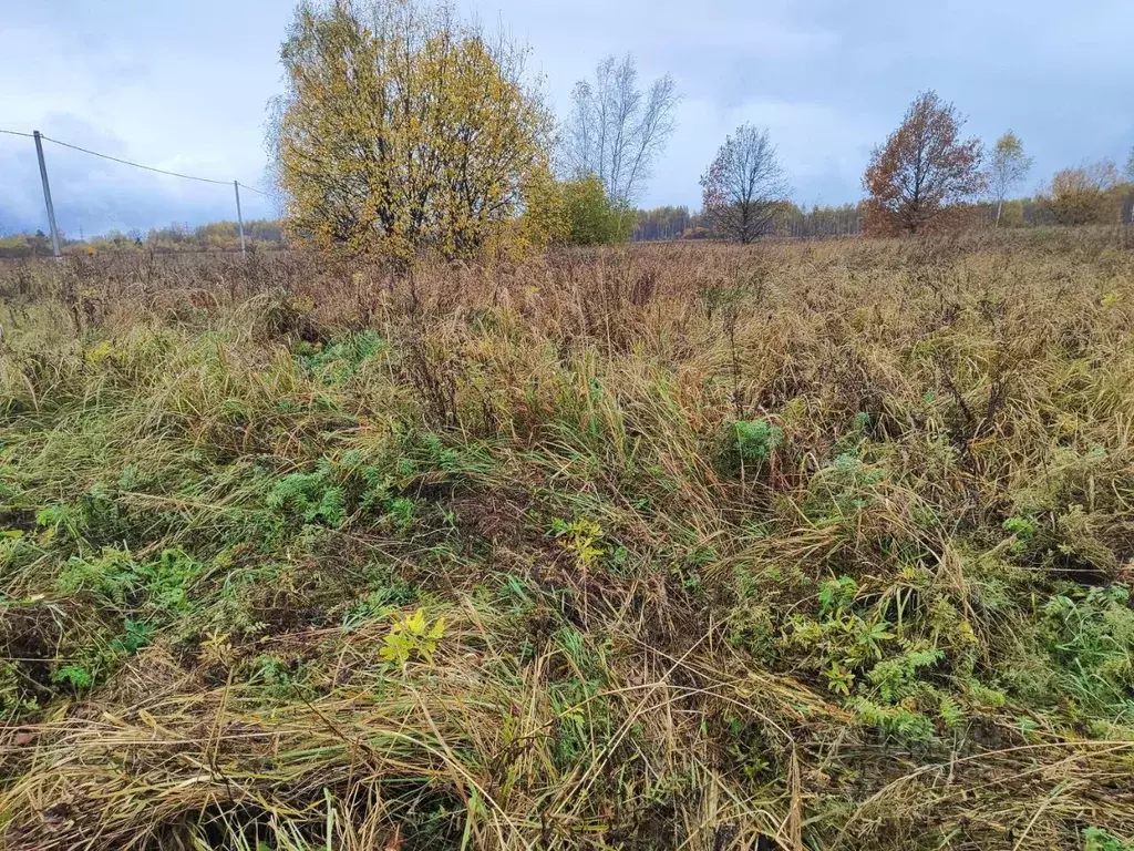 Участок в Московская область, Раменский муниципальный округ, д. ... - Фото 2