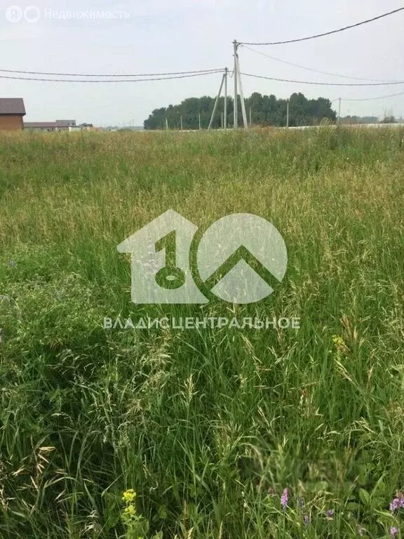 Участок в Ордынский район, коттеджный посёлок Пичугово море (10.27 м) - Фото 0
