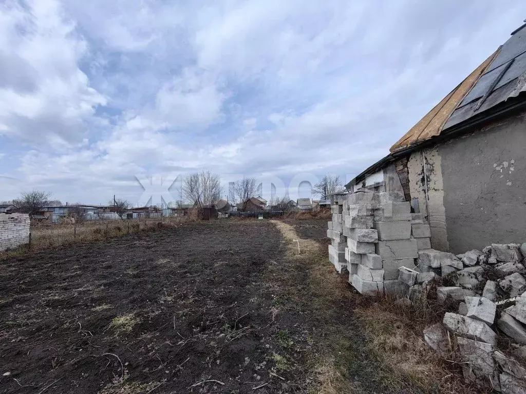Дом в Алтайский край, Павловский район, Заря СНТ ул. Карьерная (35 м) - Фото 1