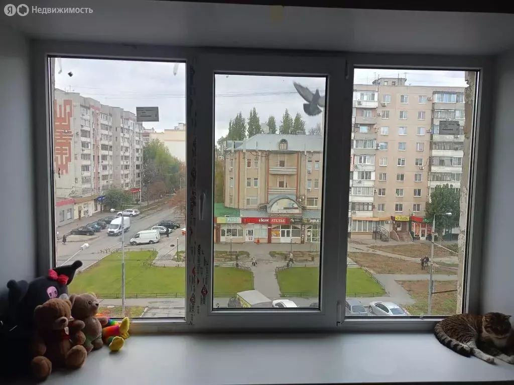 1к в 6-комнатной квартире (12.9 м) - Фото 1