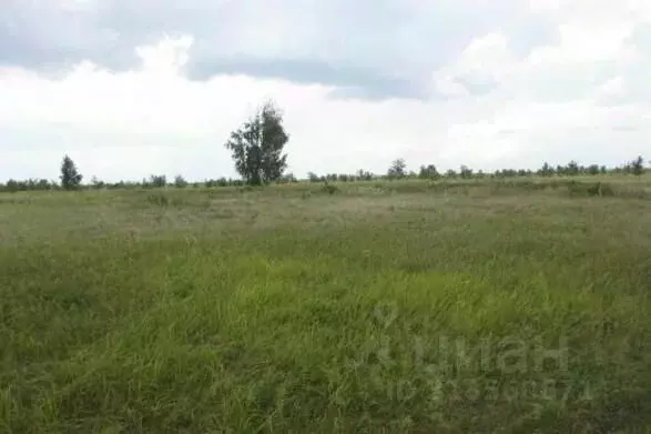Участок в Самарская область, Тольятти Южное ш. (4500.0 сот.) - Фото 0