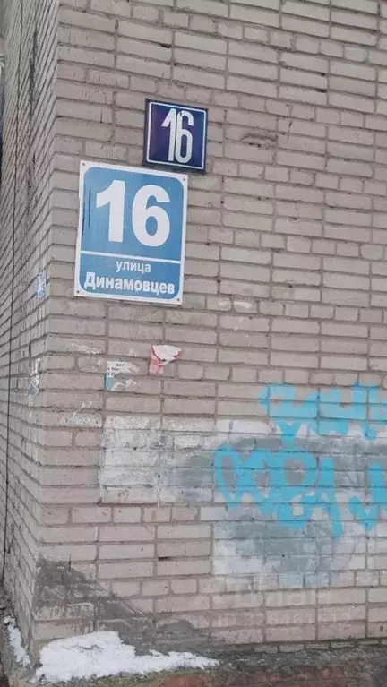 3-к кв. Новосибирская область, Новосибирск ул. Динамовцев, 16 (58.2 м) - Фото 1