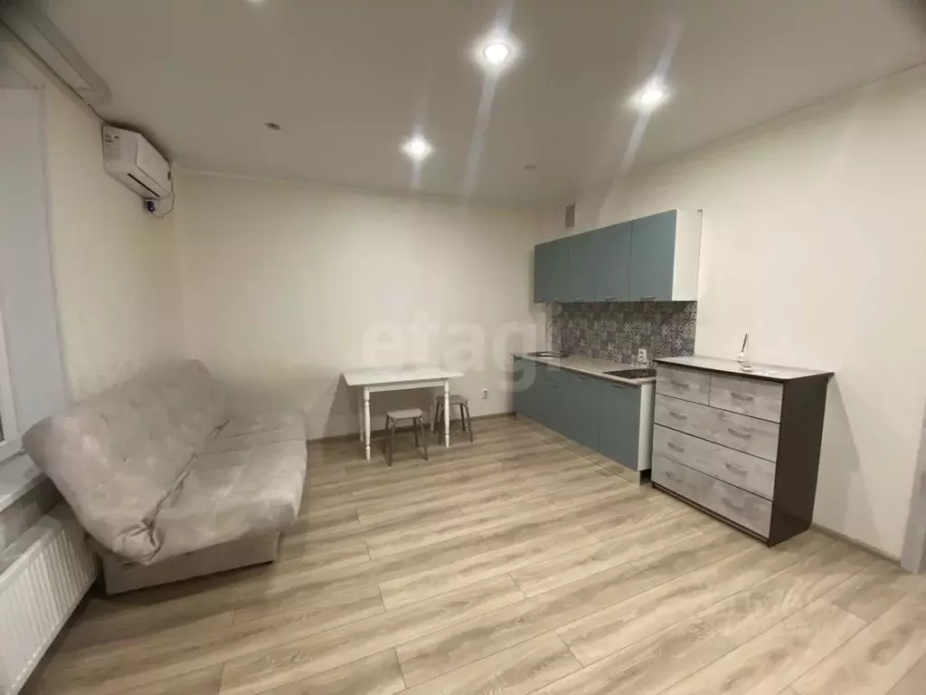 Студия Тюменская область, Тюмень ул. Николая Никитина, 4 (28.0 м) - Фото 2