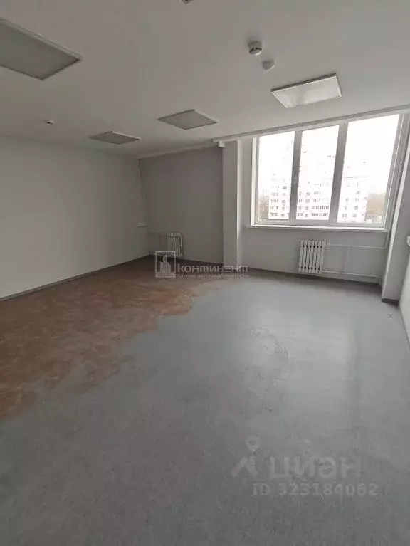 Офис в Владимирская область, Владимир Дворянская ул., 27Ак7 (20 м) - Фото 1