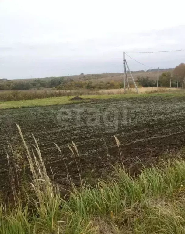 Участок в Тульская область, Заокский район, Демидовское с/пос, с. ... - Фото 1