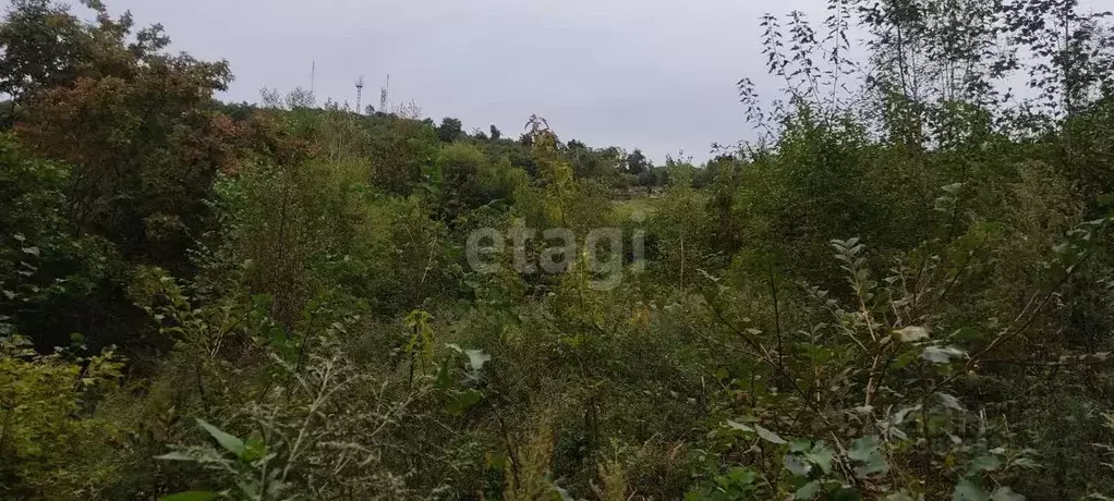 Участок в Приморский край, Артем Сопка СНТ,  (11.1 сот.) - Фото 1