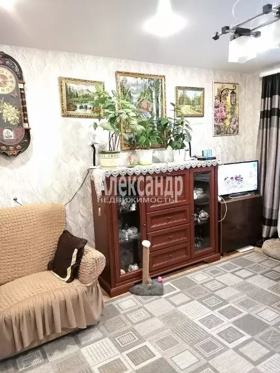 1-к кв. Ленинградская область, Приозерский район, пос. Сосново ул. ... - Фото 2