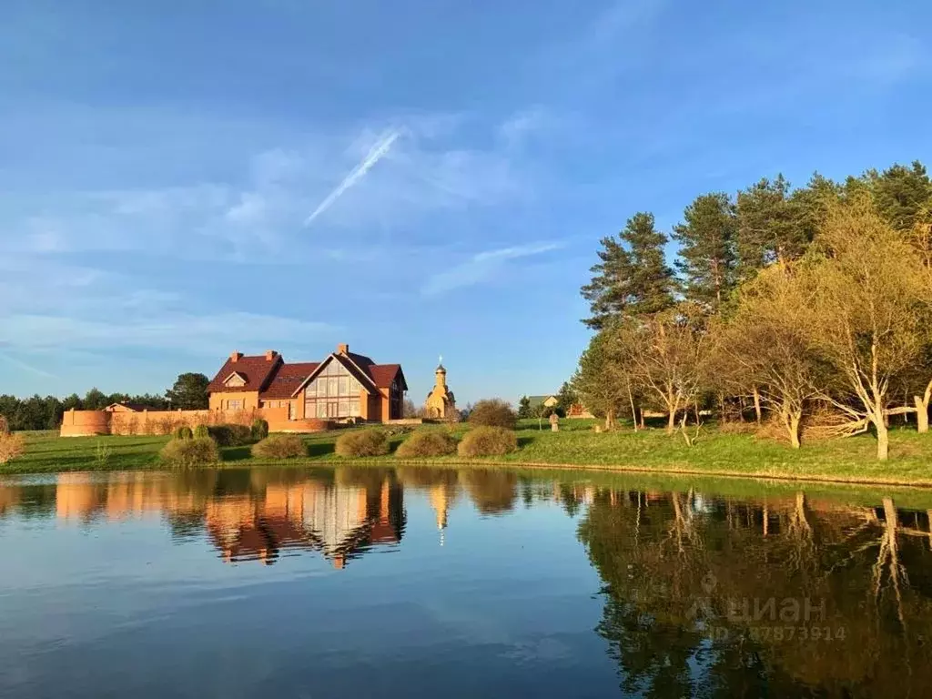 Участок в Псковская область, Гдовский район, Спицинская волость, д. ... - Фото 1
