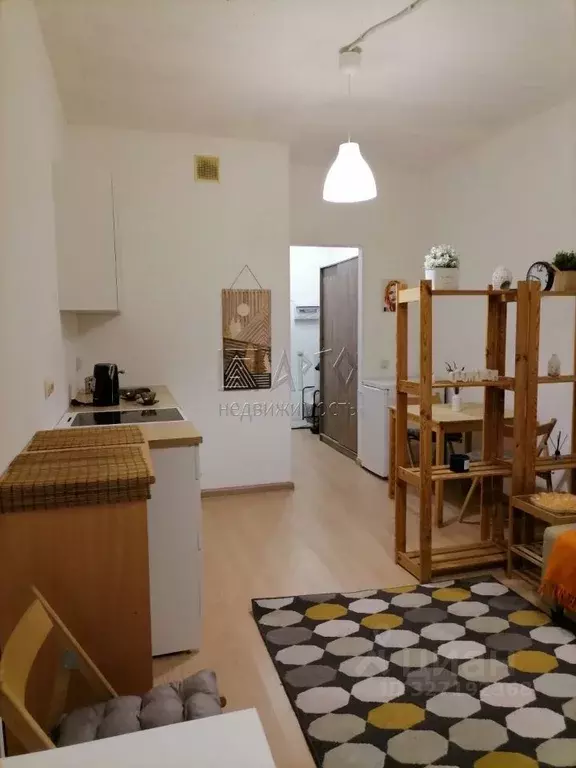 Студия Санкт-Петербург пос. Шушары, пер. Вилеровский, 6 (23.6 м) - Фото 1