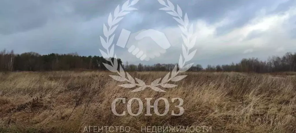 Участок в Калужская область, Мосальский муниципальный округ, Раменский ... - Фото 2