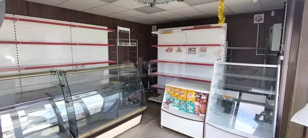 Торговая площадь в Сахалинская область, Южно-Сахалинск городской ... - Фото 1