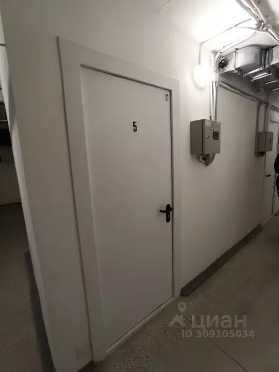 Помещение свободного назначения в Пензенская область, Пенза ул. ... - Фото 1