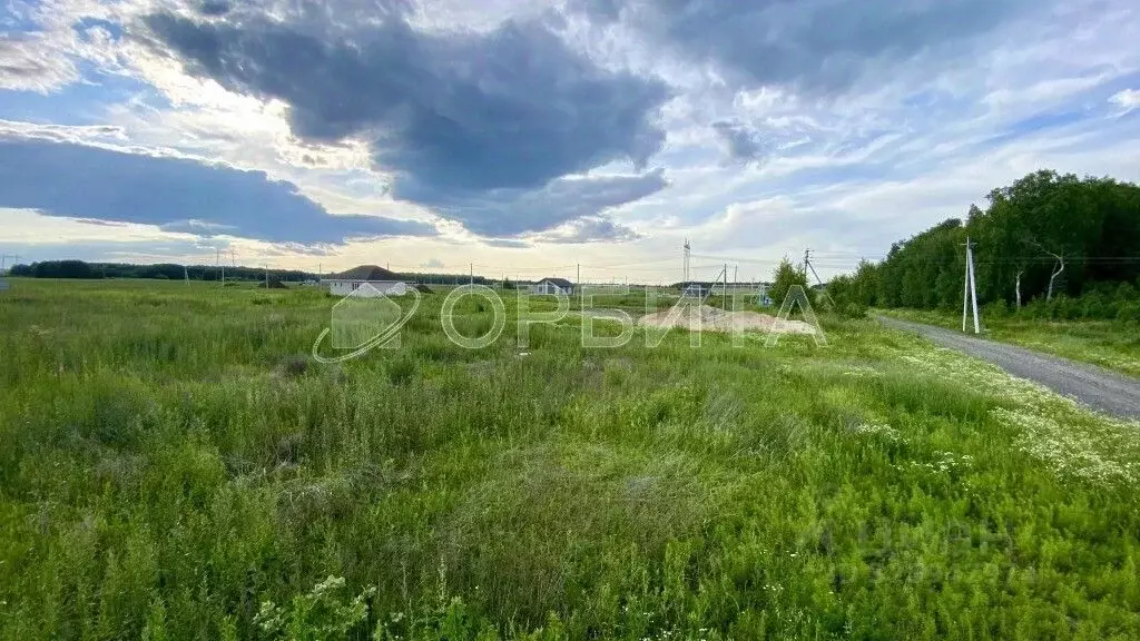 Участок в Тюменская область, Тюменский муниципальный округ, Каменское ... - Фото 1