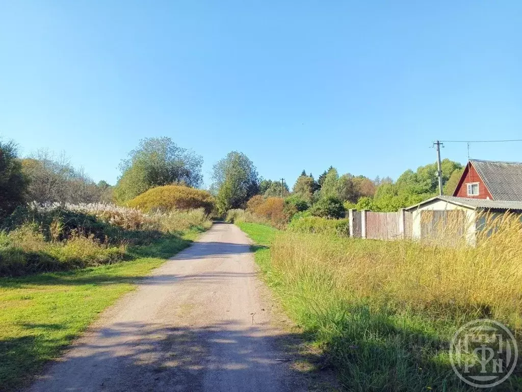 Участок в Ленинградская область, Выборгский район, Красносельское ... - Фото 2
